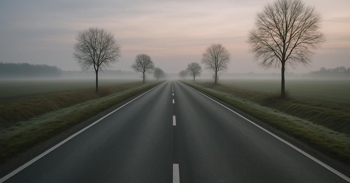An open road crossing a flat northern European landscape at dawn